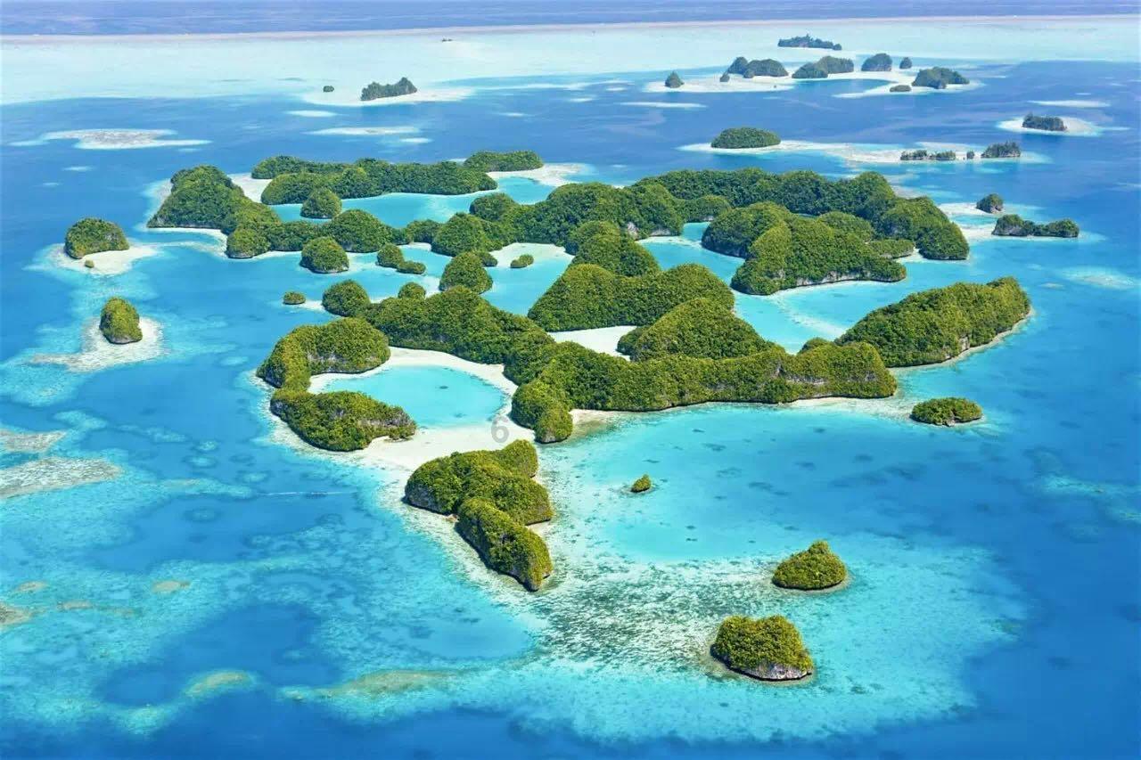 救援有趣的孔雀