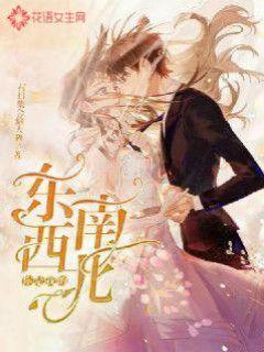 王子逃婚