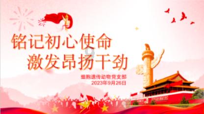 热血射门