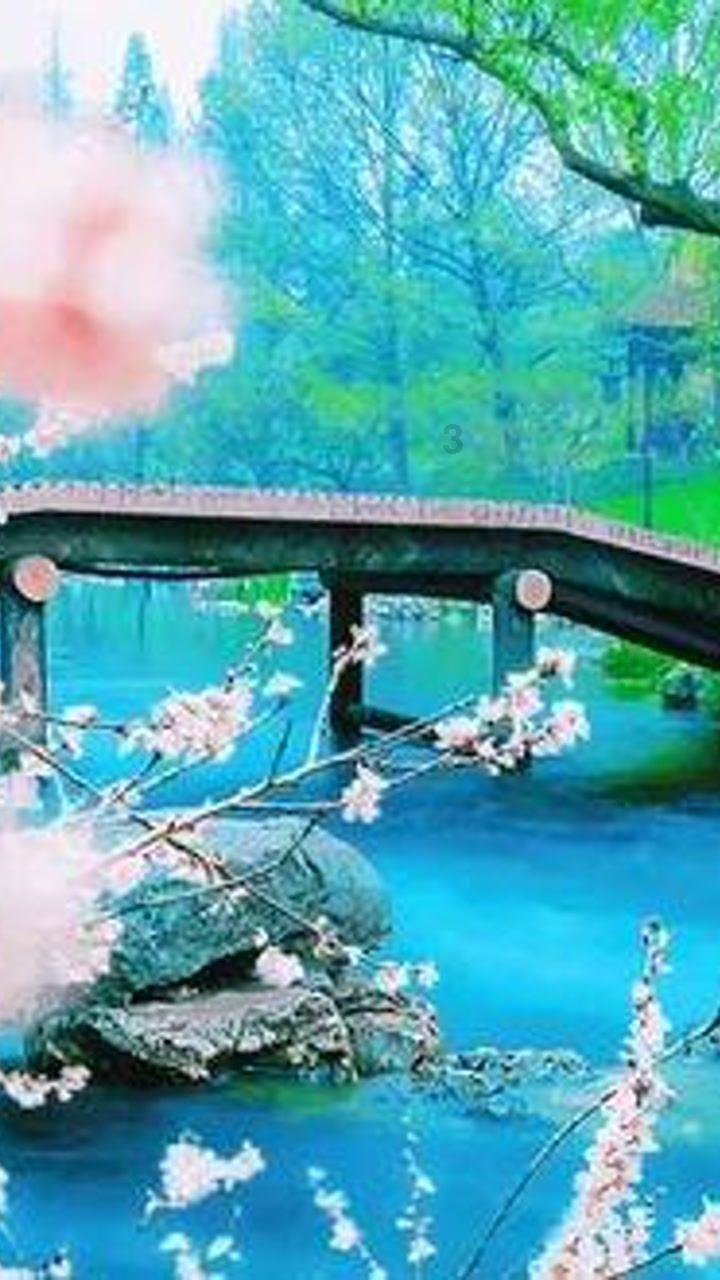 纳雍县化作乡:撒盐除冰 保畅纾困